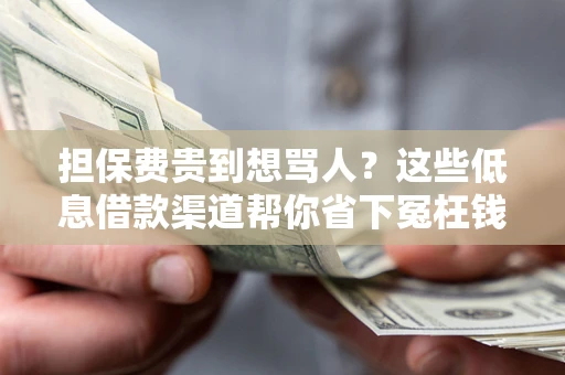 济南担保费贵到想骂人？这些低息借款渠道帮你省下冤枉钱
