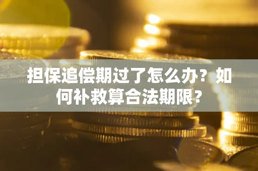 济南担保追偿期过了怎么办？如何补救算合法期限？