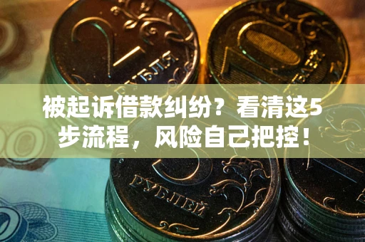 济南被起诉借款纠纷？看清这5步流程，风险自己把控！