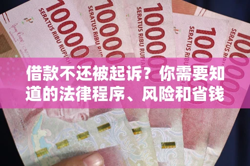 济南借款不还被起诉？你需要知道的法律程序、风险和省钱技巧